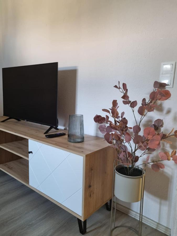 Modern Eingerichtet-Stadtnah-Ferienwohnung Mit Geschirrspueler Und Waschmaschine Friedland  Exteriér fotografie